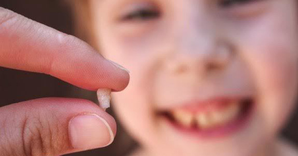 Chức năng của răng sữa trẻ em là gì? Nha Khoa Cần Thơ